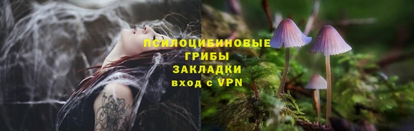 крисы Михайловка