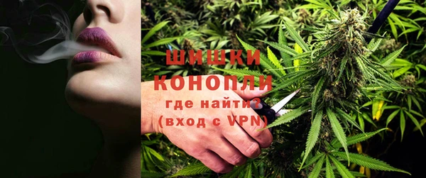 трава Абаза
