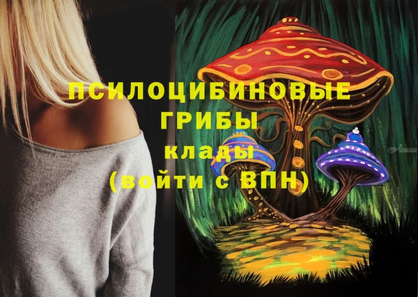 бошки Абдулино