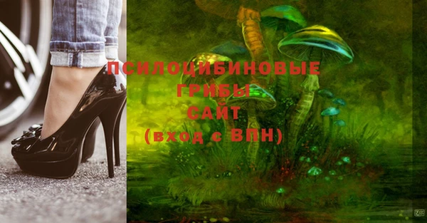 бошки Абдулино